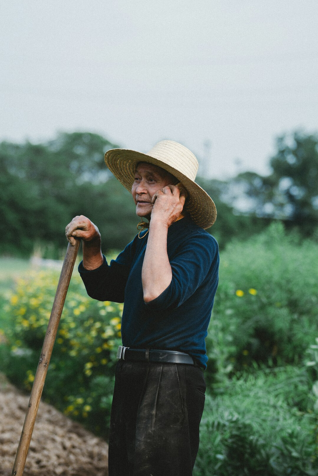 seniors gardening