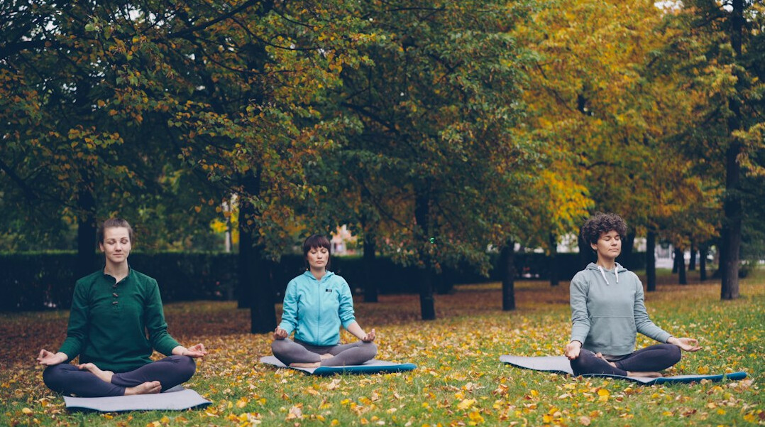 seniors in yoga class