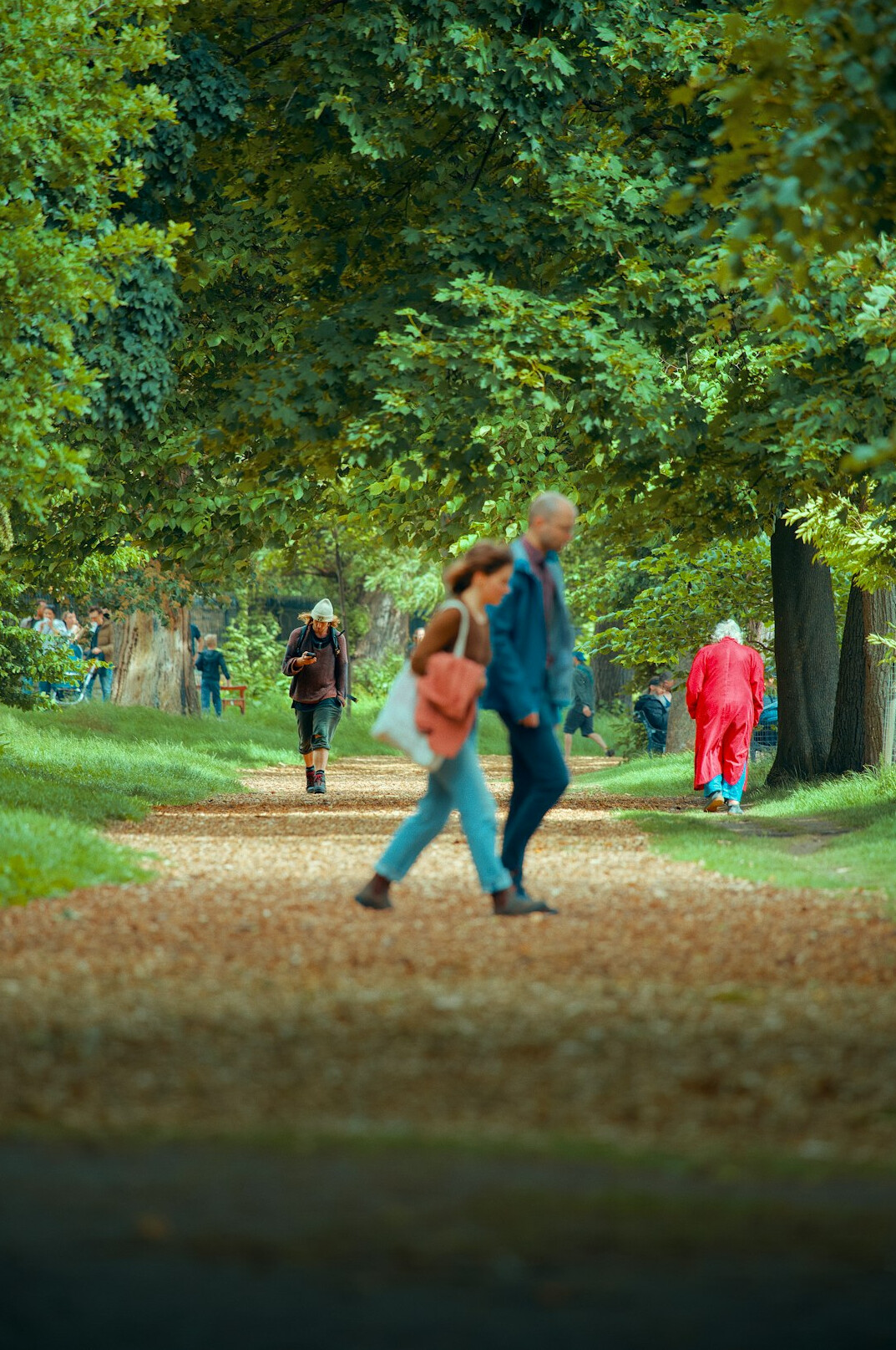 seniors walking in park